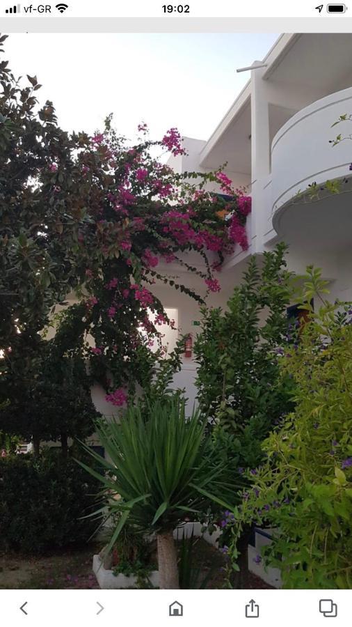 Danae Hotel Faliraki Buitenkant foto